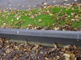 image of grave number 199097